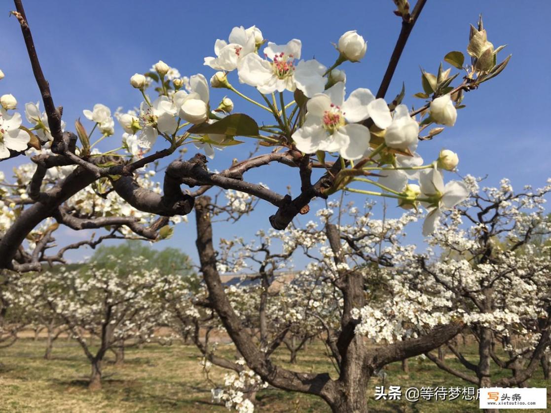 你觉得一年四季哪个季节最适合旅行