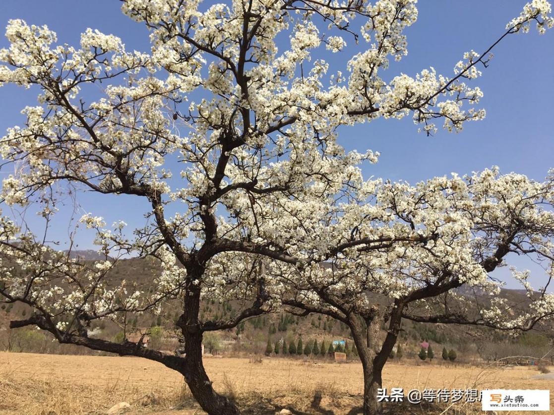 你觉得一年四季哪个季节最适合旅行