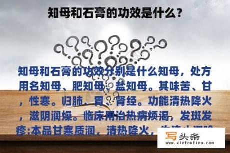 知母和石膏的功效是什么？