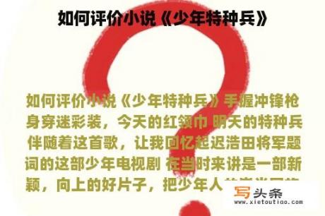 如何评价小说《少年特种兵》