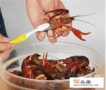 潜江油焖大虾怎么做