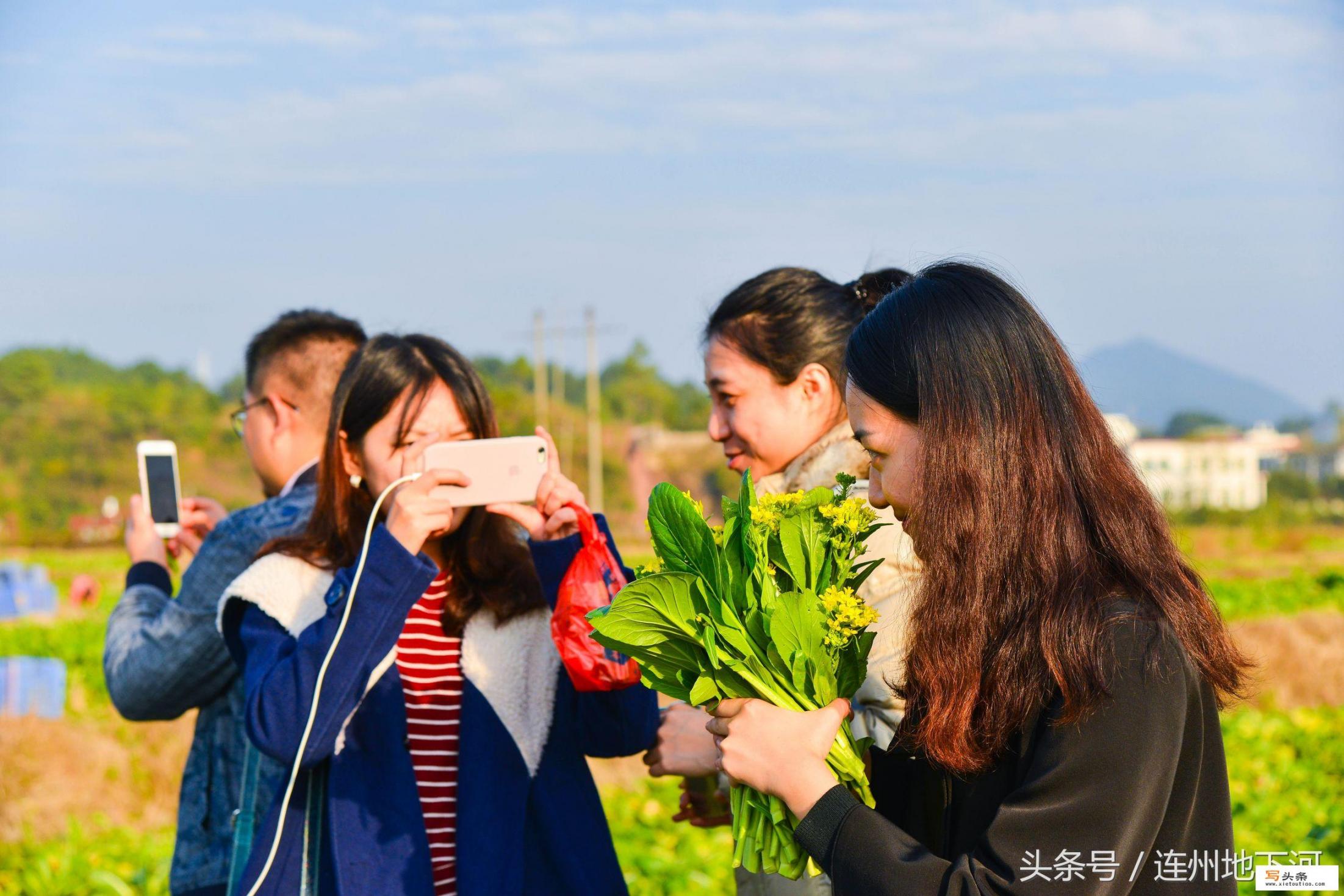 冬季到南方哪些地方旅行合适