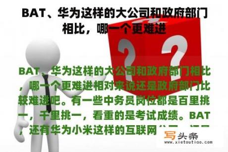 BAT、华为这样的大公司和政府部门相比，哪一个更难进