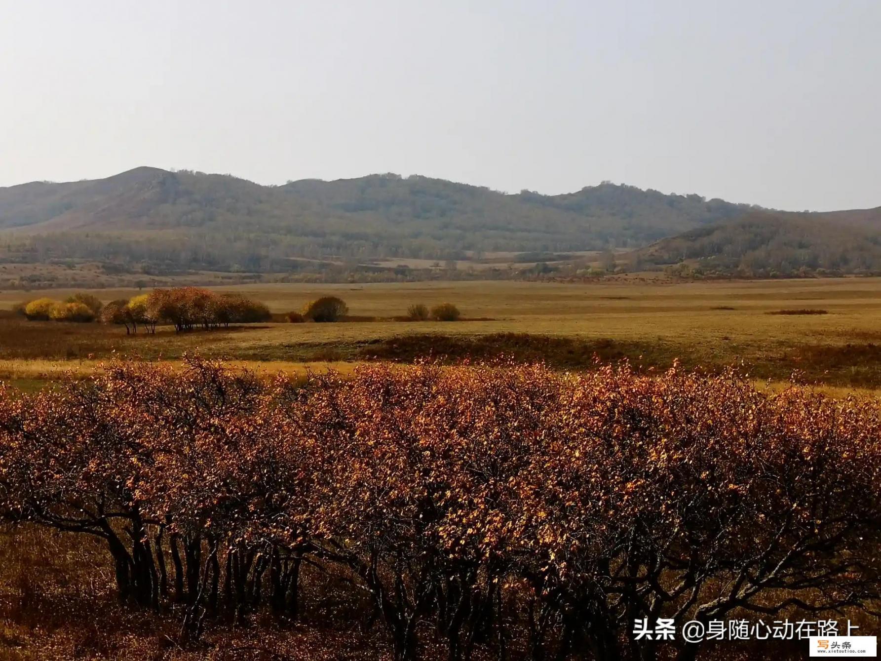 退休了从银川自驾去呼伦贝尔及东三省，关于路线规划及景点有什么建议