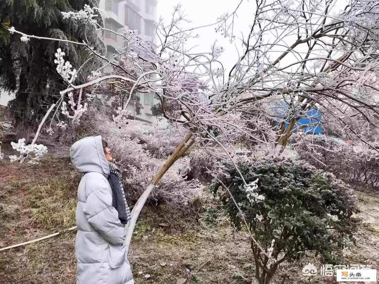 贵阳十大旅游区，你知道的有哪些