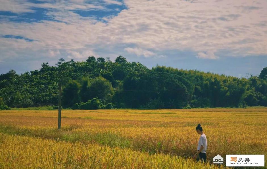 旅游时穿什么衣服适合拍照