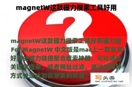 magnetW这款磁力搜索工具好用