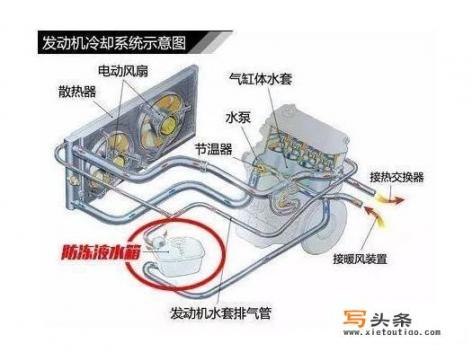 汽车防冻液多久换一次，换一次多少钱