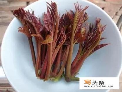 鲜香椿炒鸡蛋怎么做？新鲜香椿炒鸡蛋，怎样做