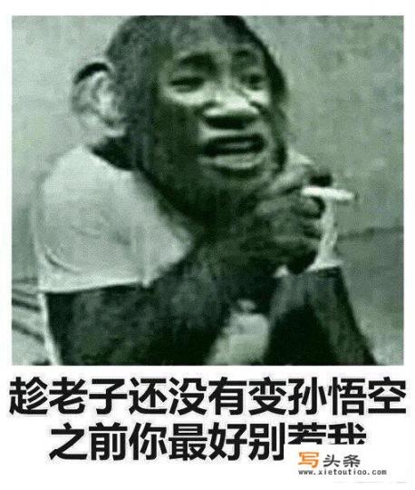 你们有哪些笑死人不偿命的表情包