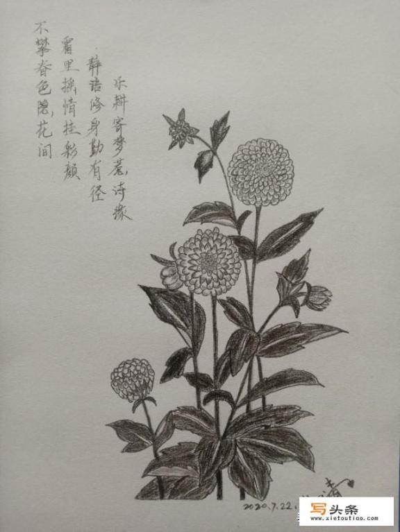 你自己画过哪些画