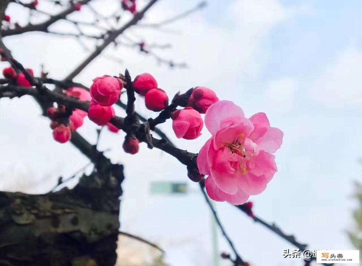 一年四季，你最喜欢哪个季节出去旅游