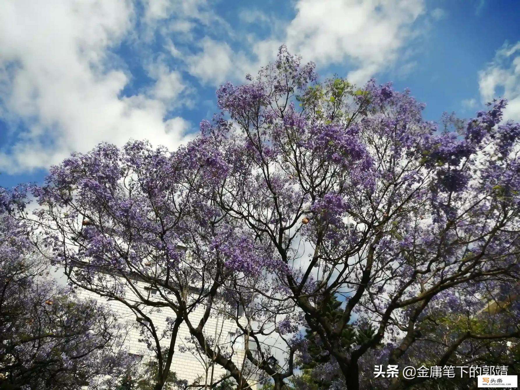 最近有人兜售几十元的旅游卡，号称可以游玩几百个景点，怎么维权