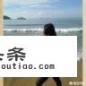新小麦的价格是多少