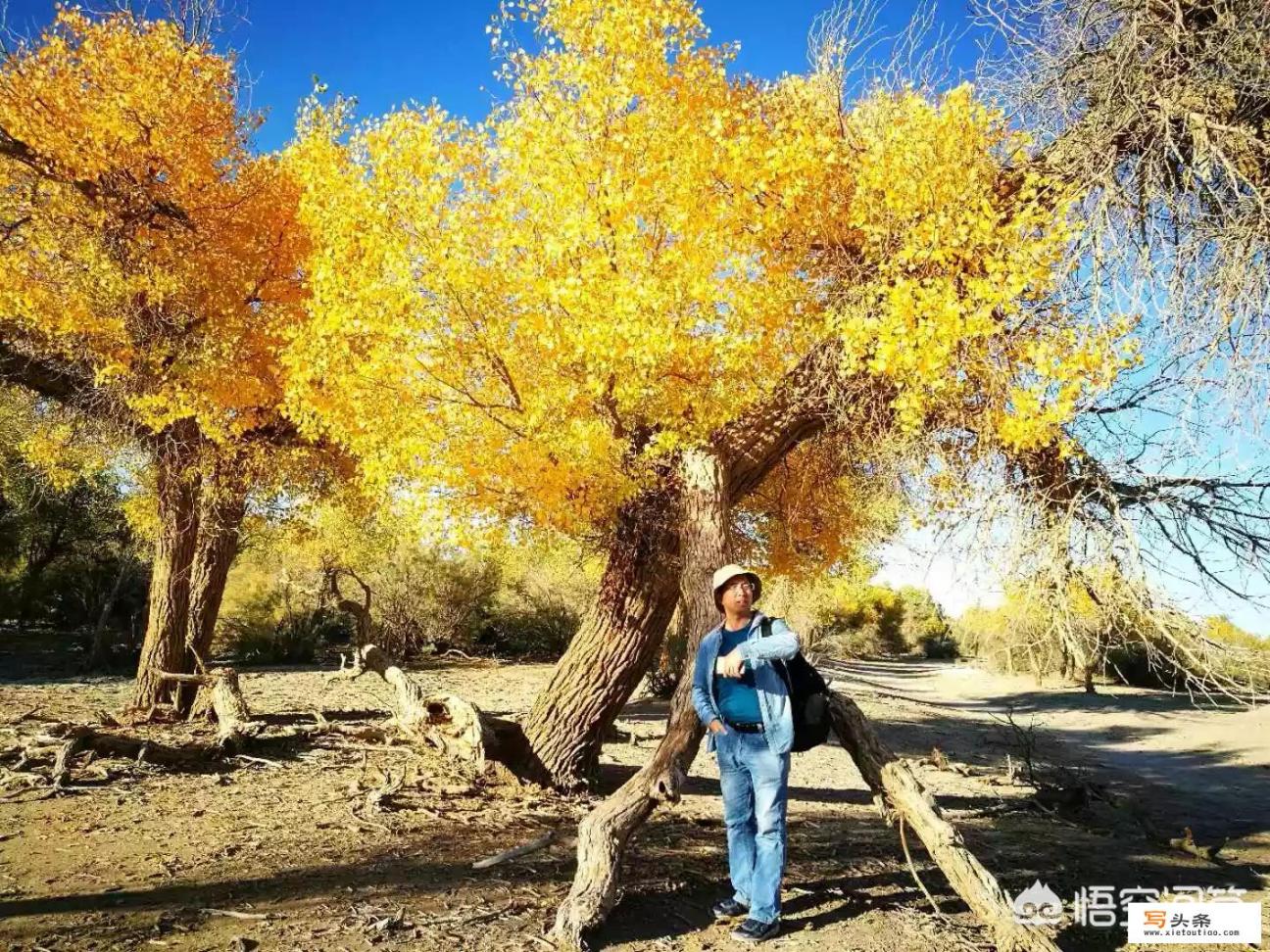 你希望的旅游度假是怎样的