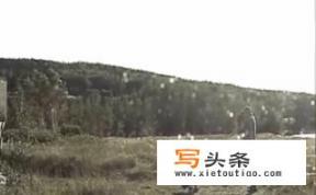 有什么搞笑的动图？一定要动图