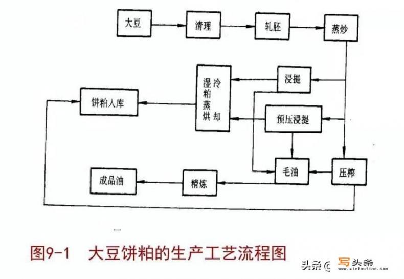 饲料所说的豆饼和豆粕是同样的东西吗