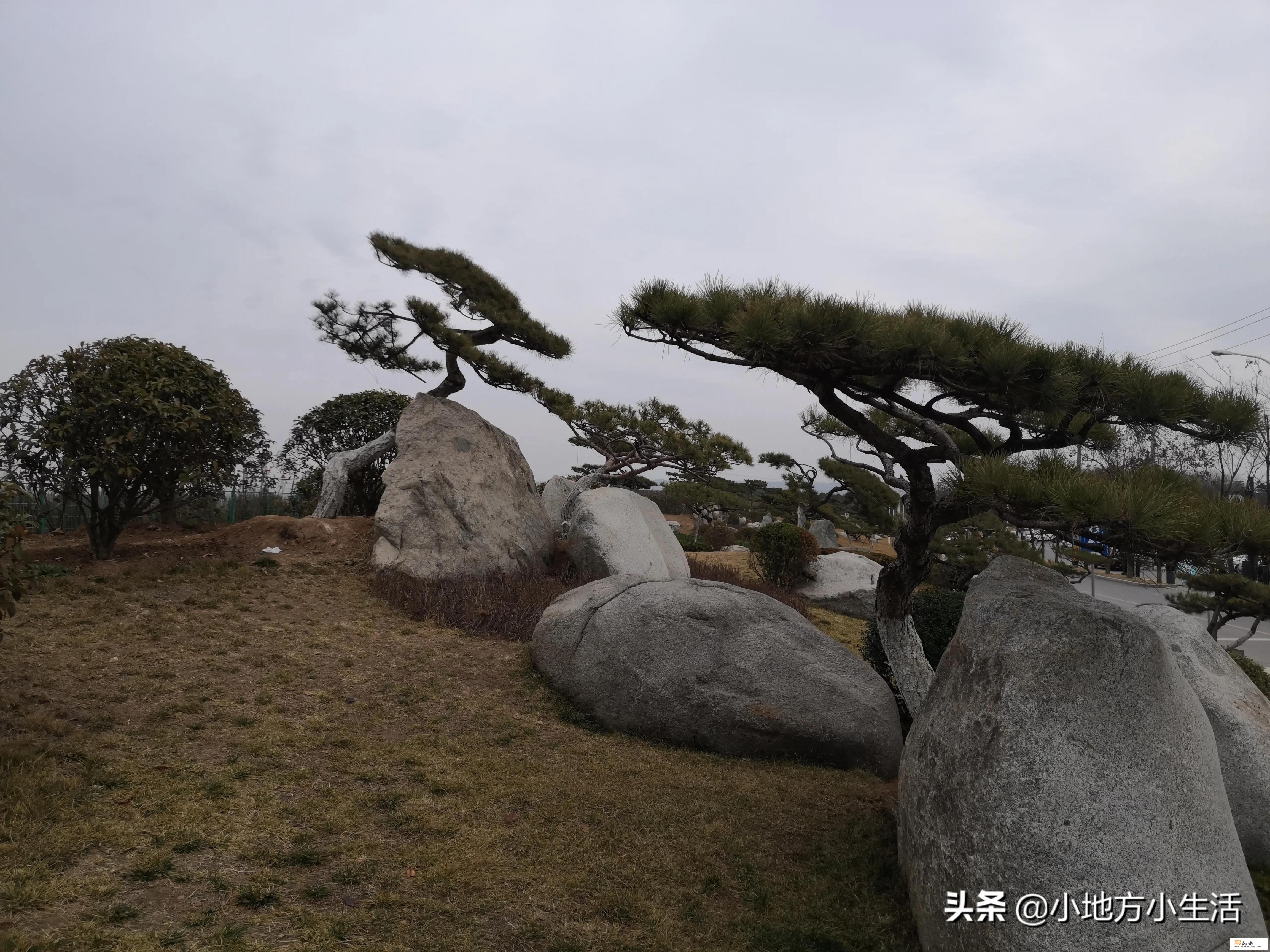 西安周边周末带娃一日游哪里好玩点