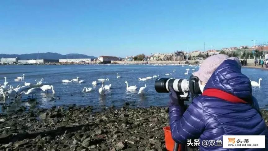 冬天适合去的地方旅游_各位网友，推荐几个适合冬天去的旅游景点