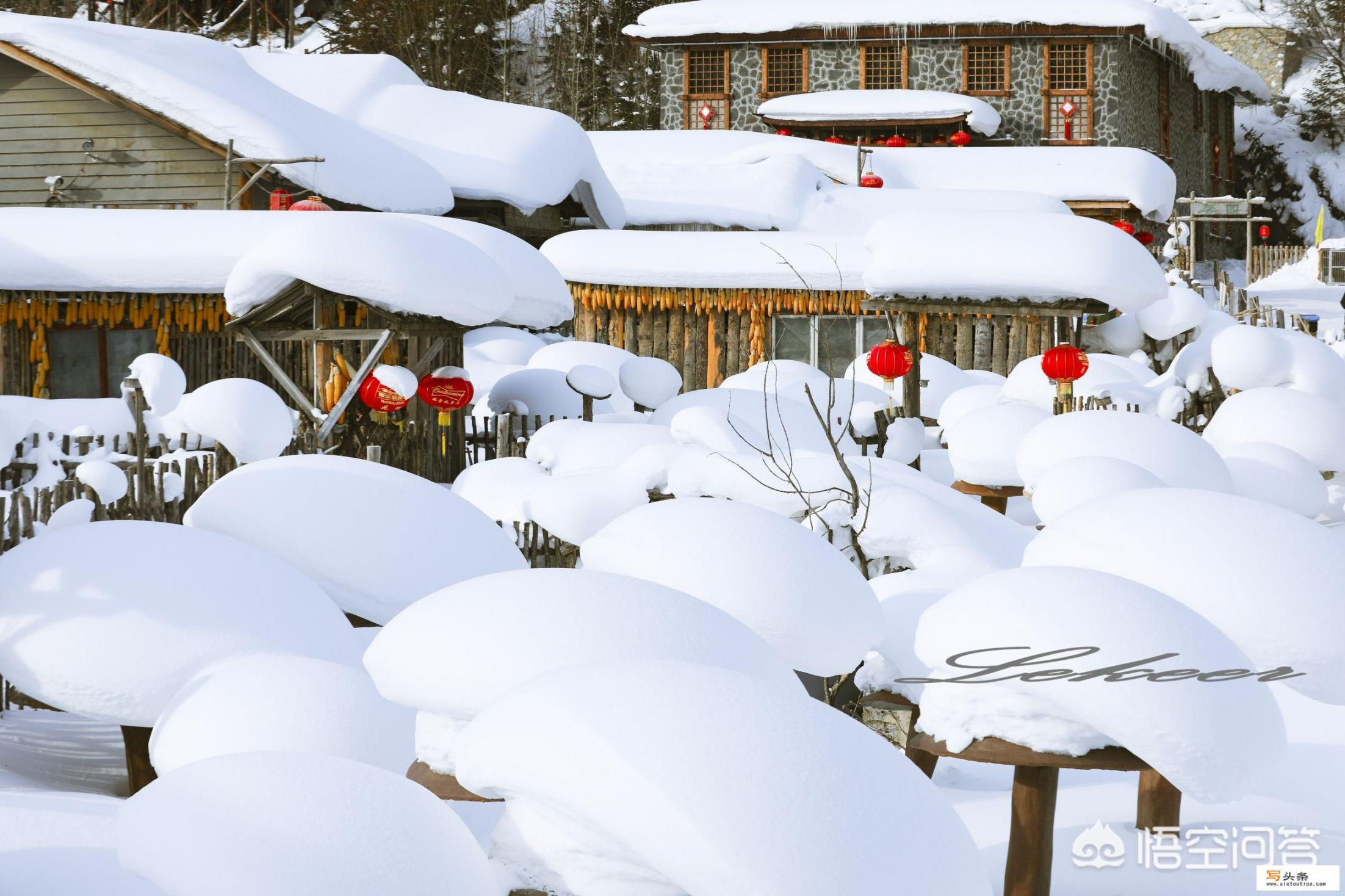 雪乡旅游攻略最佳时间_想去东北雪乡玩，有什么攻略或行程推荐