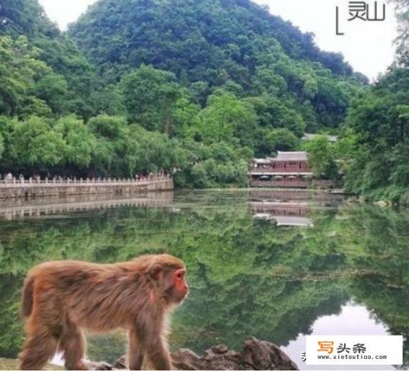 贵阳旅游必去景点攻略_贵阳带孩子必去的十大旅游景点