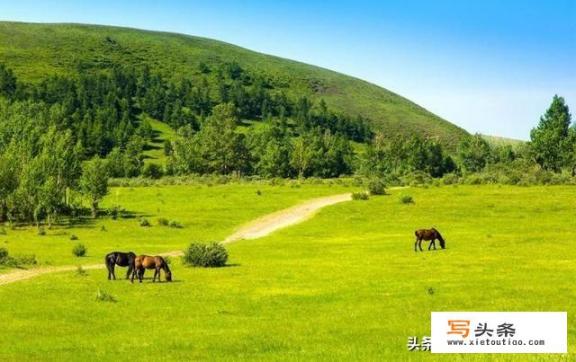 去内蒙古旅游，有什么好玩的地方值得推荐_你珍惜同学情吗？请把你歌颂同学情的诗歌亮出和大家分享