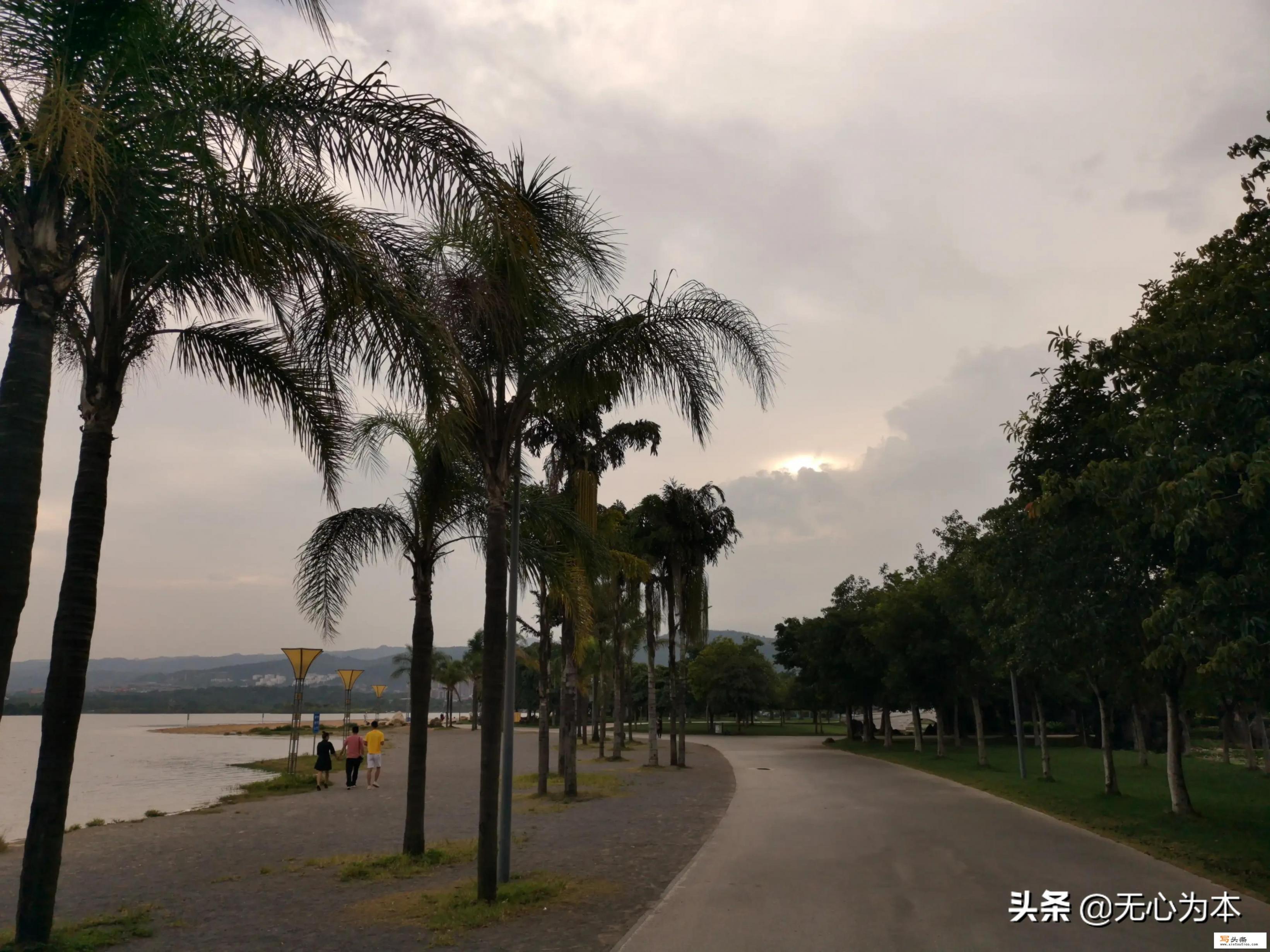 冬天去哪里玩比较好_冬天国内旅游去哪些地方好