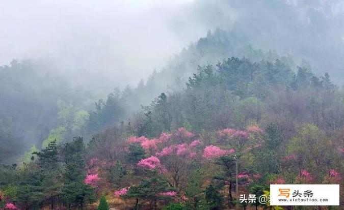 山东有没有五一期间适合一个人去散心旅游的地方_万山红电动汽车价格