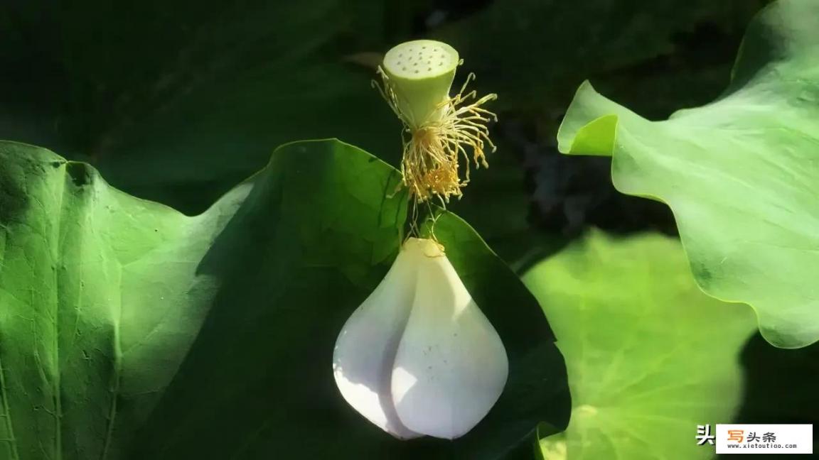 被生活狠狠的按在地上摩擦之后，哪些事情你“看透”了_身边有很不要脸的女生是种怎样的体验