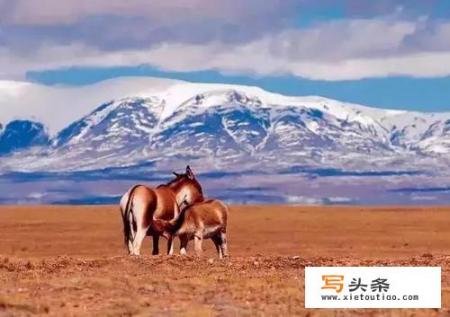 这个季节适合去哪里旅游_这个季节去哪里旅游最为合适