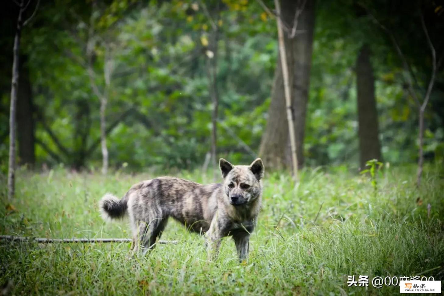 人喝醉酒都能干出什么事_你都曾追过哪些三观不正的电视剧