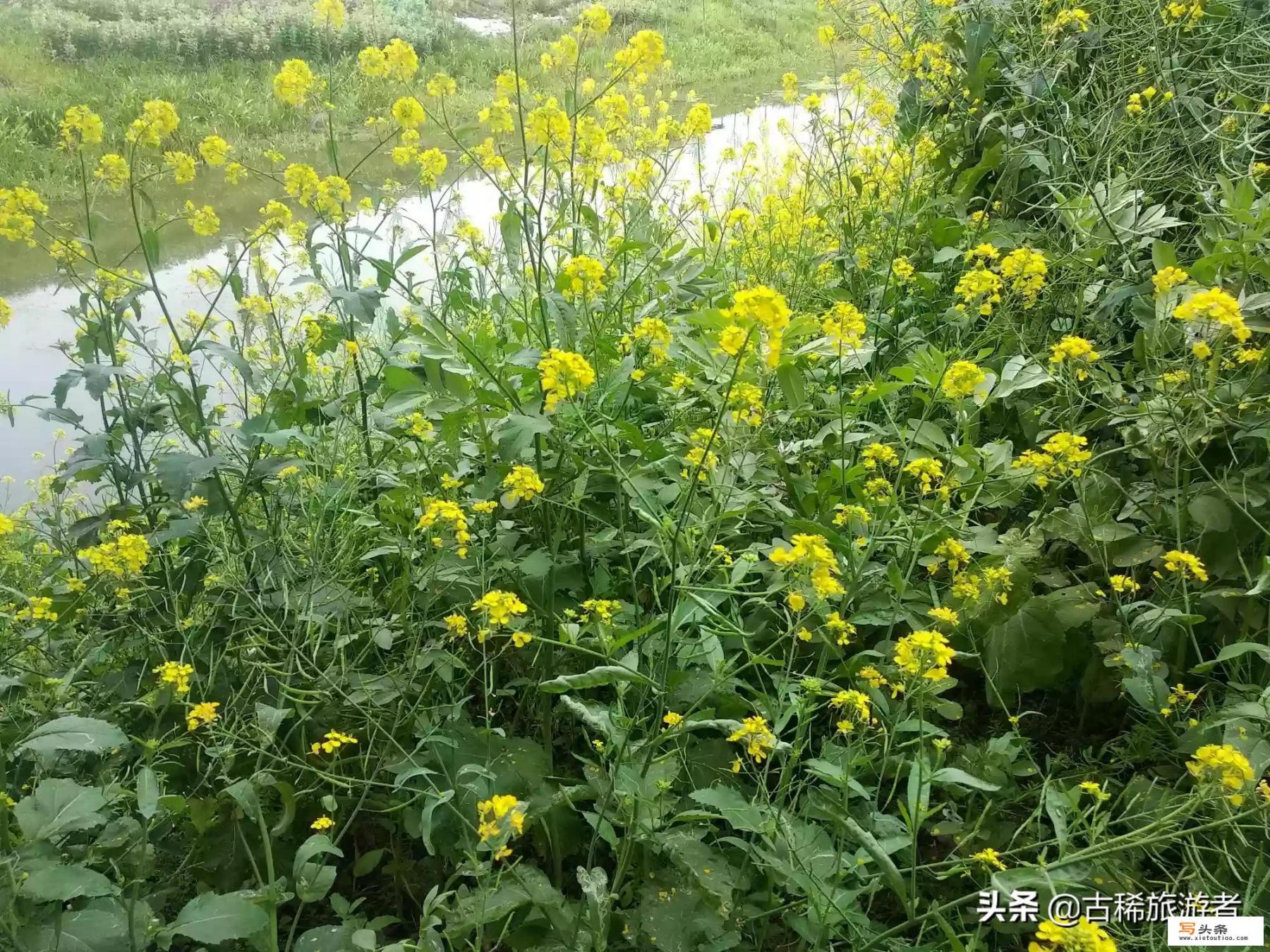 事业单位待遇怎么样呢_现在有哪些岗位适合20多岁的女孩子，很迷茫