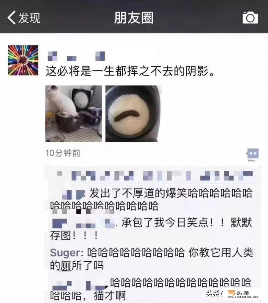 你看过哪些笑掉大牙的朋友圈_去看一次极光是怎么样的体验