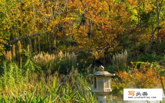 12月下旬准备去北京旅行，应该穿什么衣服_十二月去哪里旅游合适