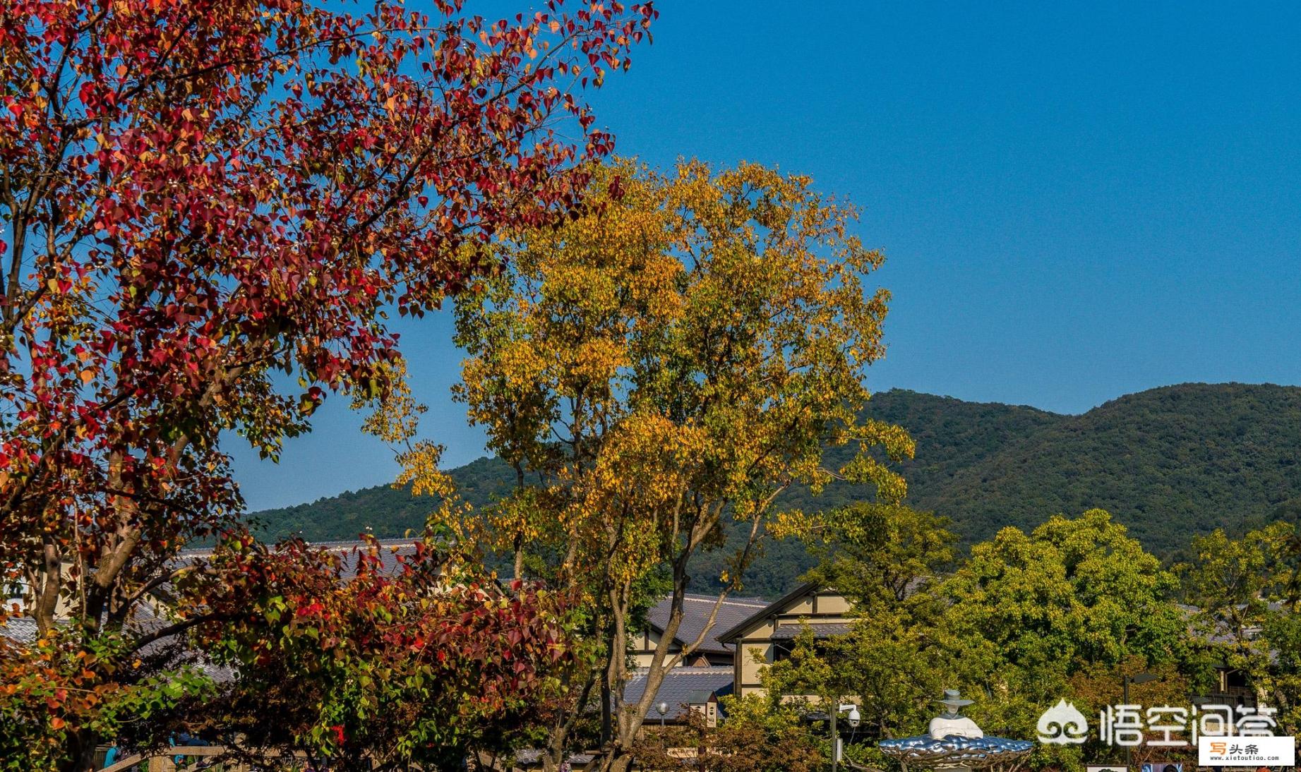 12月下旬准备去北京旅行，应该穿什么衣服_十二月去哪里旅游合适