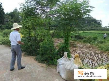 怎么用土法丈量不规则的田土面积_计算面积的软件