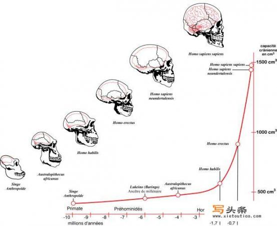 想看书了，有没有你一下子就想到的书推荐一下_疫情待在家，你们看了哪些小说和电影，分享下