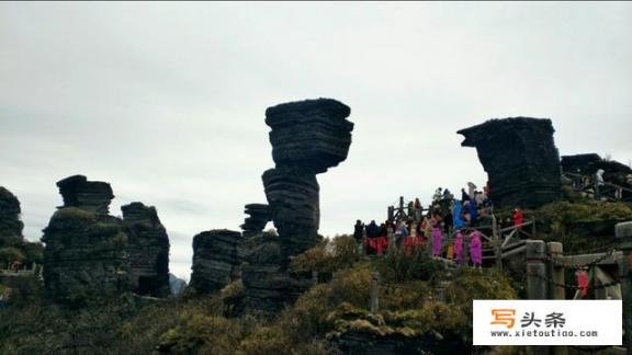 想开发一条旅游线路和旅行公司合作，我需要什么手续_抖音旅游卡靠谱吗