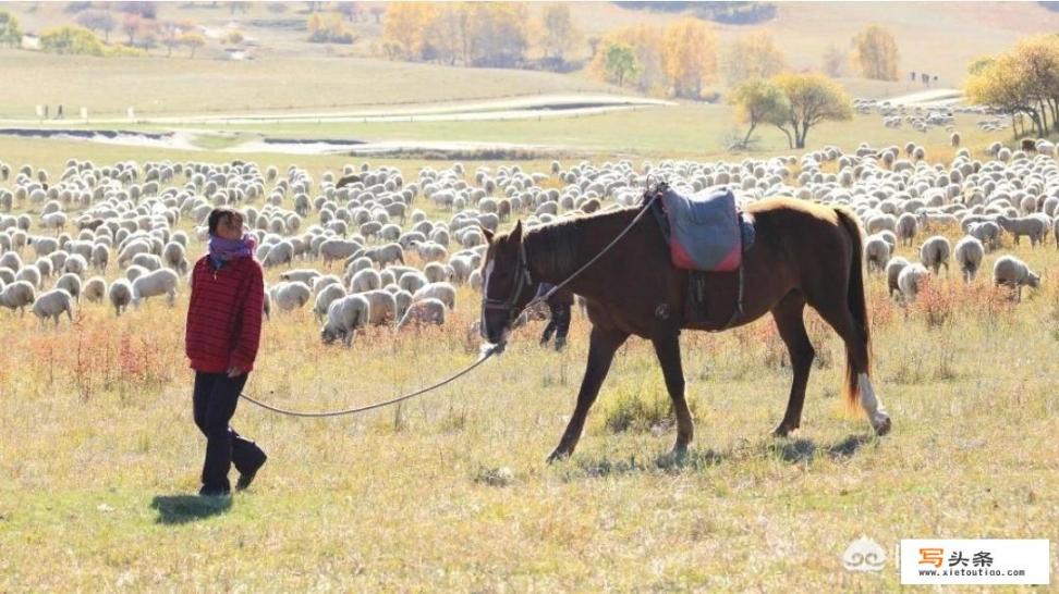 在你们印象中，内蒙古人都是睡蒙古包吗_求内蒙古自由行攻略推荐