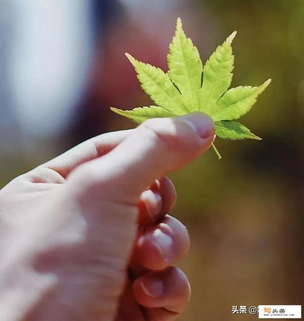 连续两天碰到60多岁的老流氓迎面故意碰你一下身体，怎么办_你交往过特别开放的女性吗