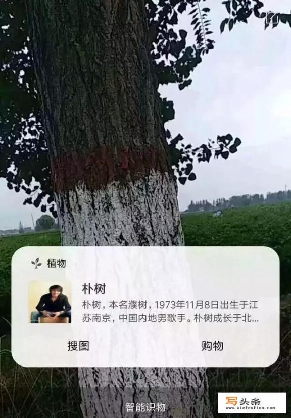 软件狗是个什么东西