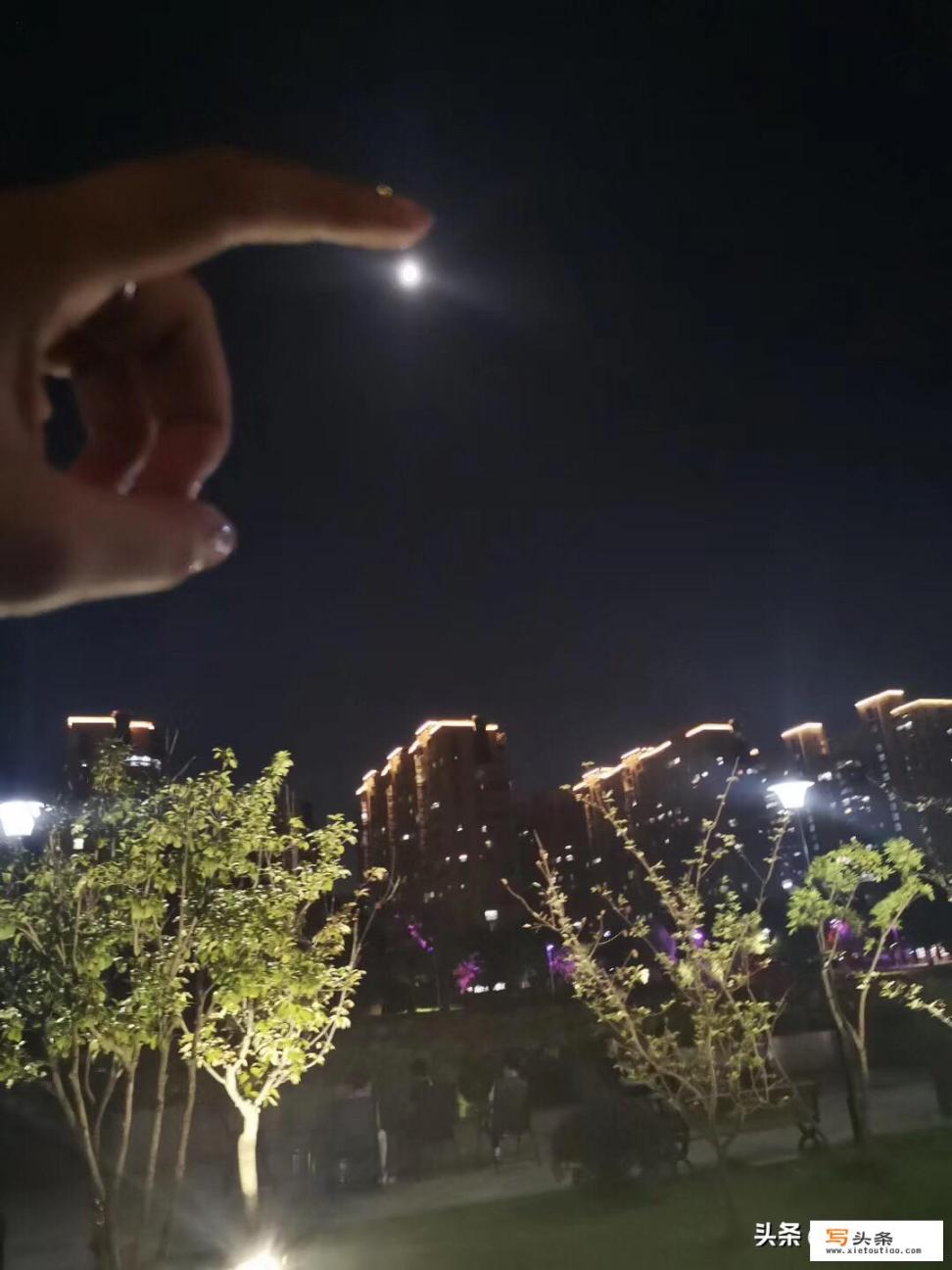 你能说出多少首有“月”字的古诗