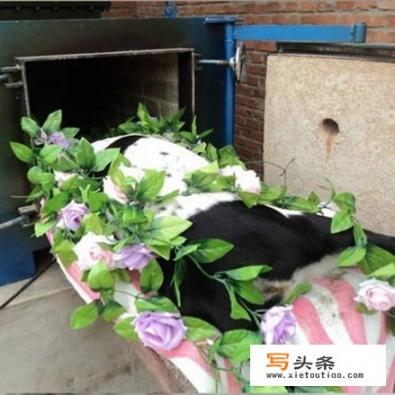 给死人化妆电影有哪些