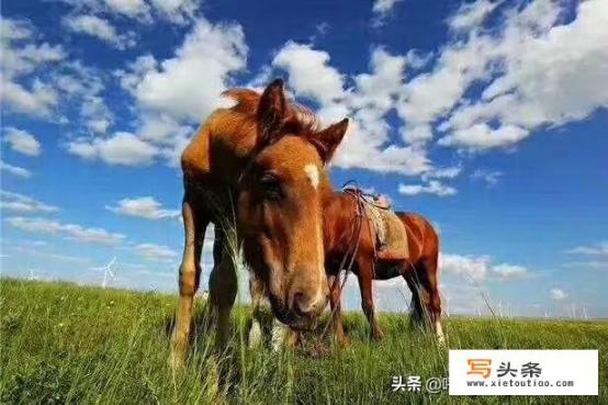 中国最凉快的十大城市,中国夏天最凉快的城市有哪些