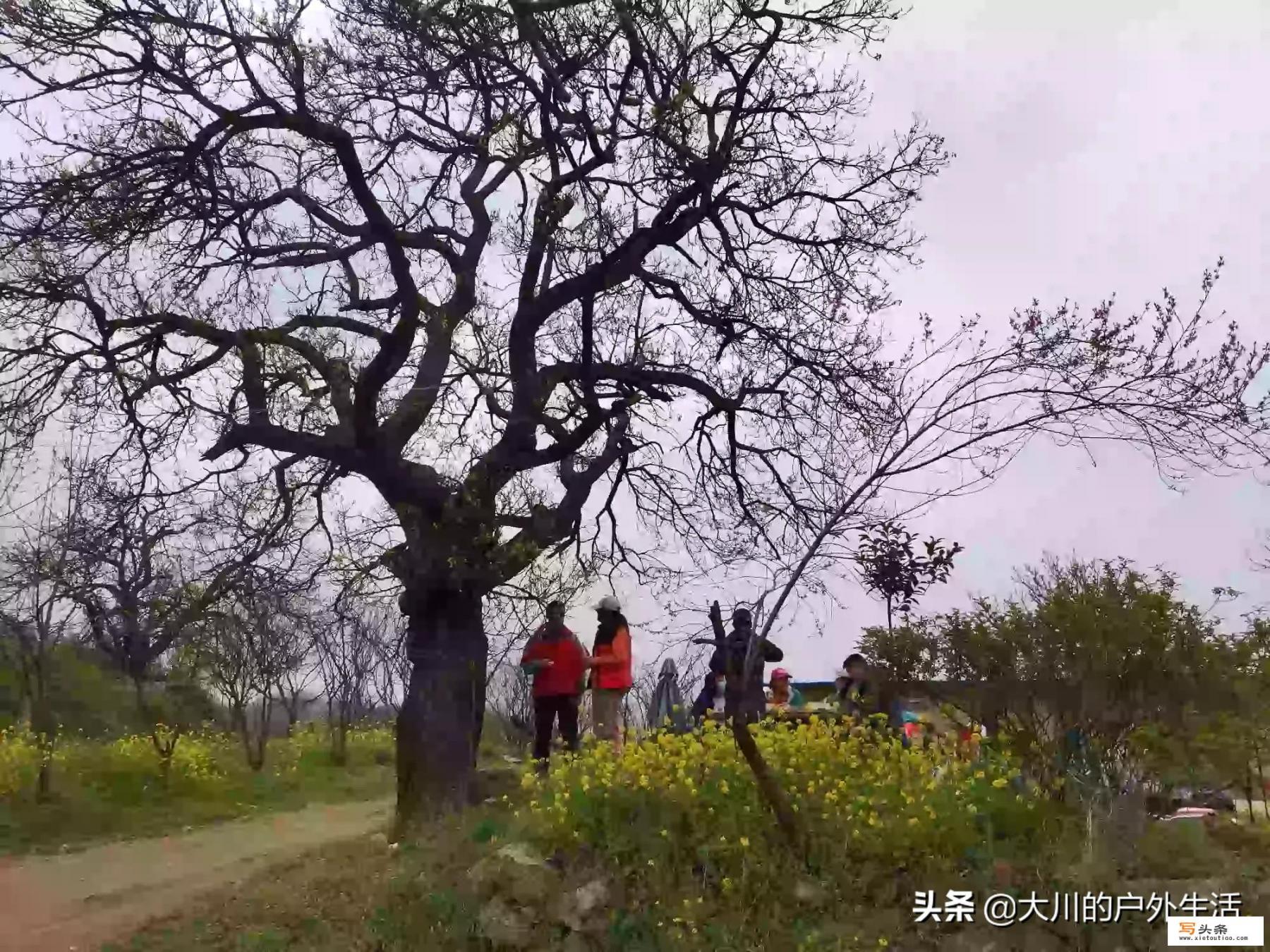 西安周边适合去哪里旅游