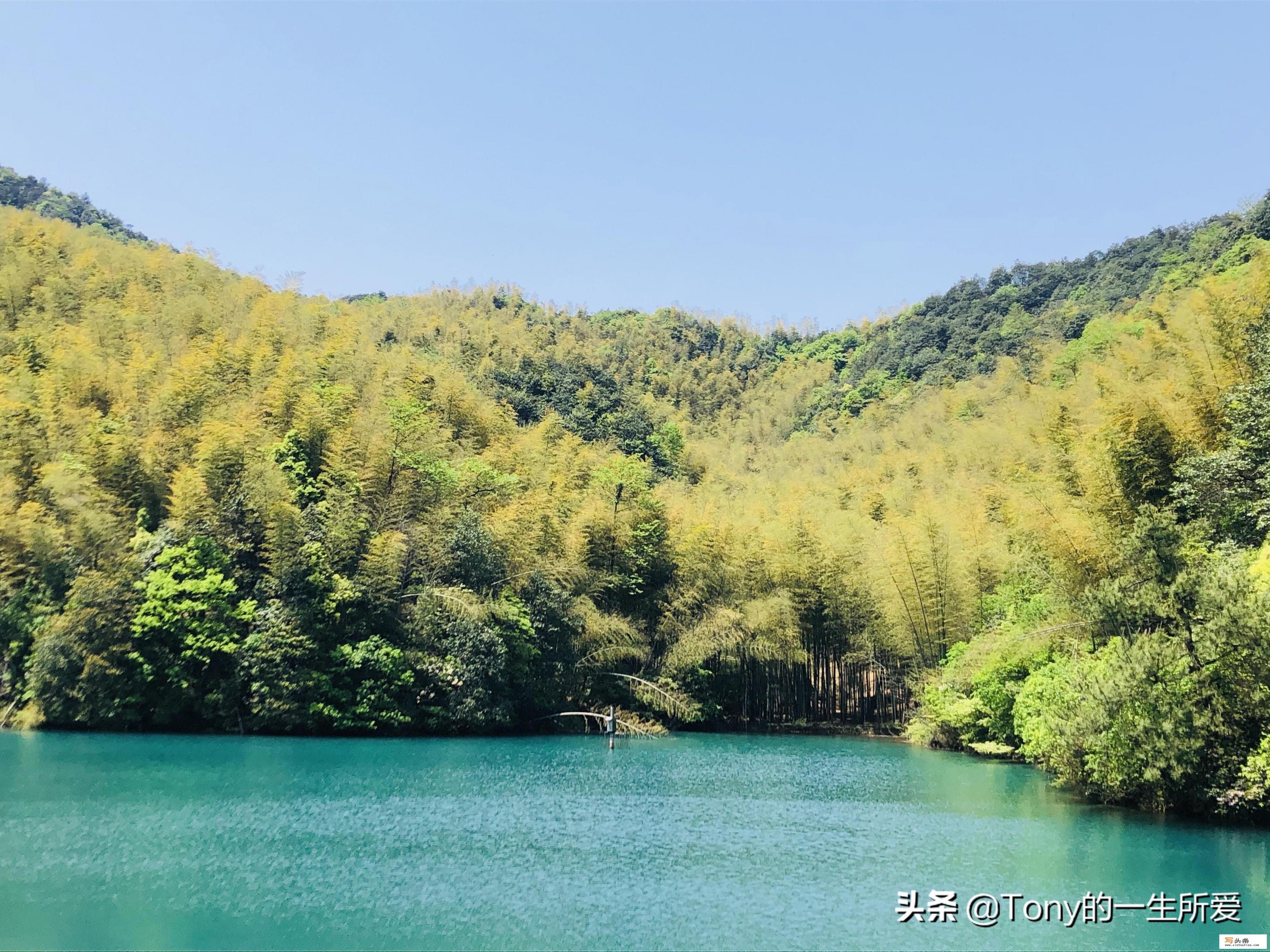 上海闪送注册流程及费用