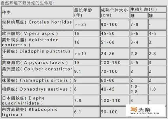 蛇能活多少年？是不是脱了皮又是一个全新的生命