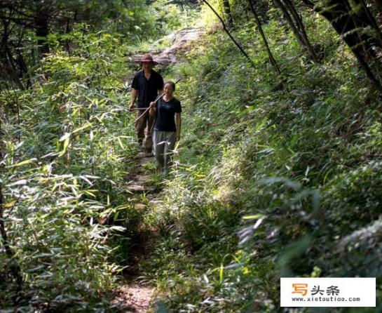 湖北利川自驾游攻略最佳路线