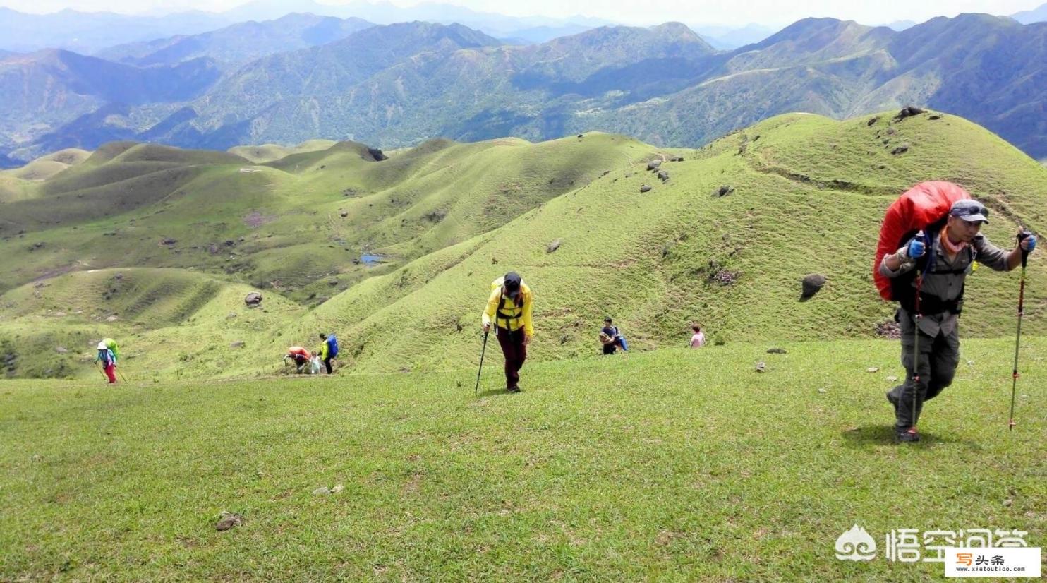 深圳好玩的地方:带你玩转深圳20个免费好玩景点