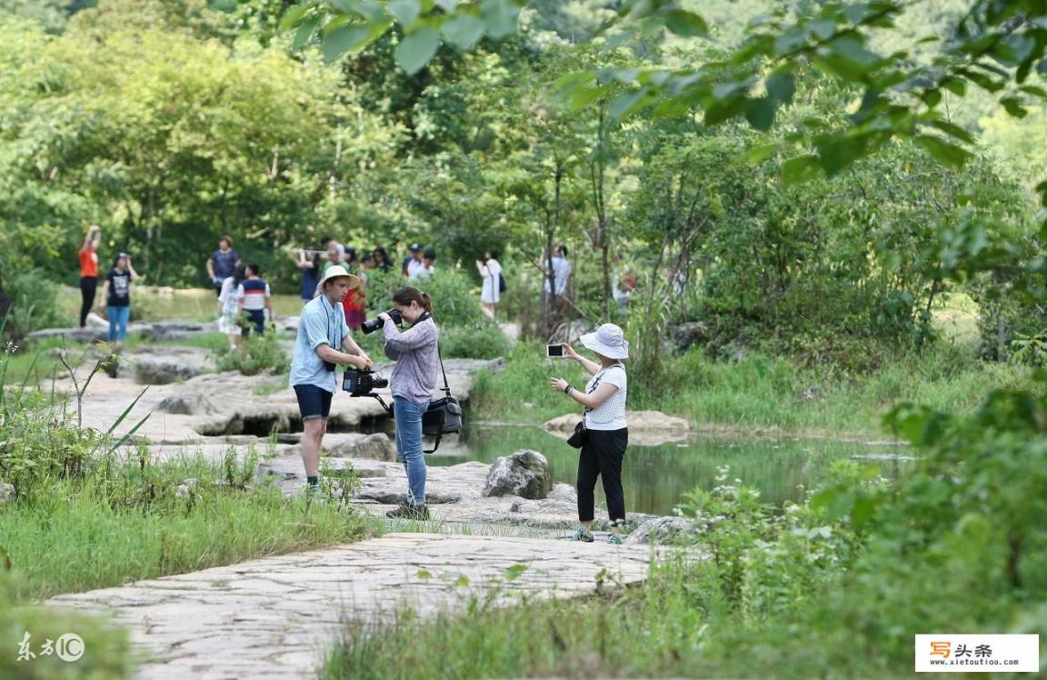 什么是生态旅游